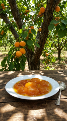 Kayısı Reçeli